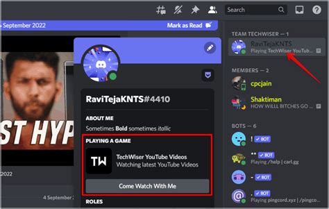 [Showcase] Discord Rich Presence .